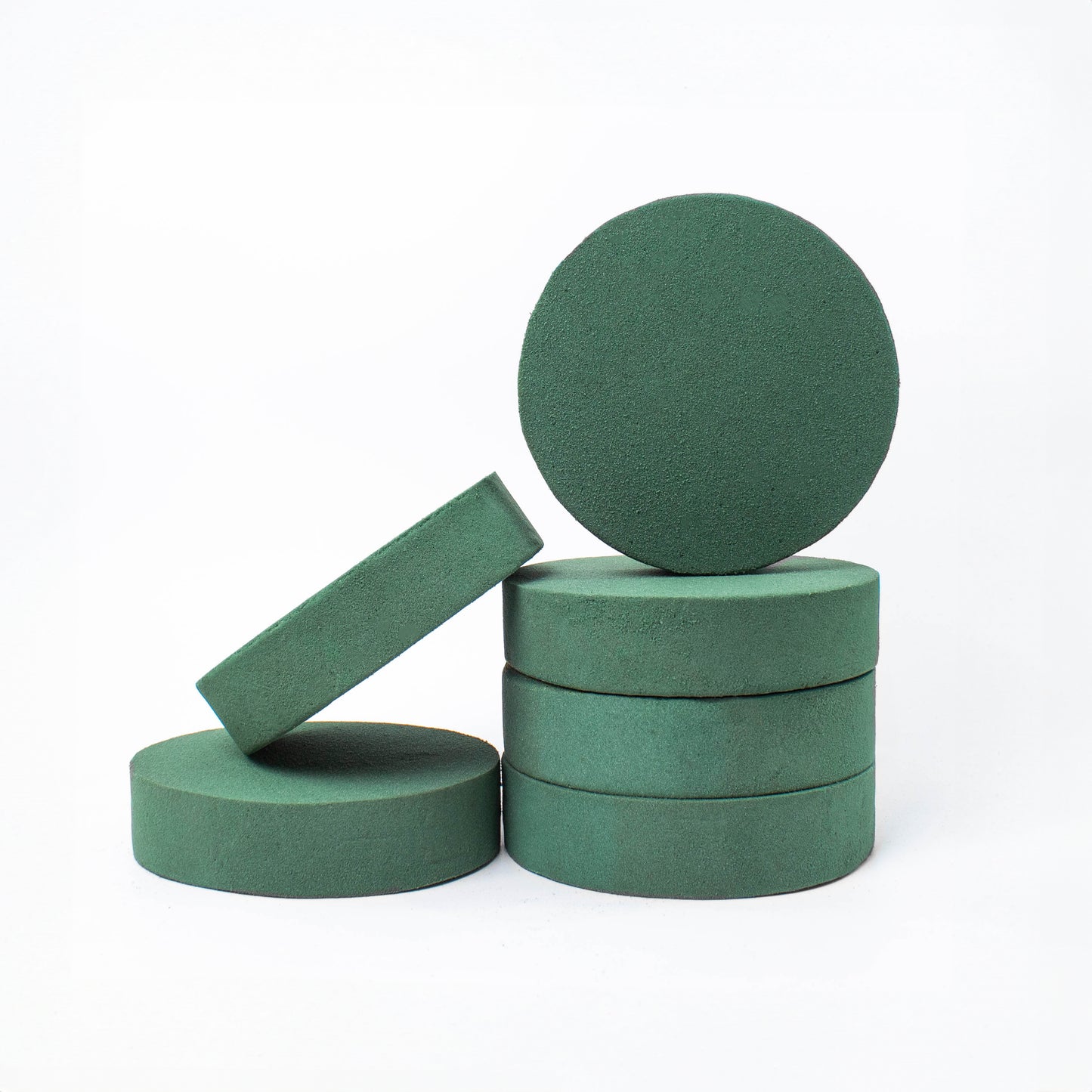 FLOFARE Pack of 6 Round Floral Foam Blocks (6" Diameter x 1.5" Height), Dry & Wet Green Foam for Flower Arrangements, Florist Supplies