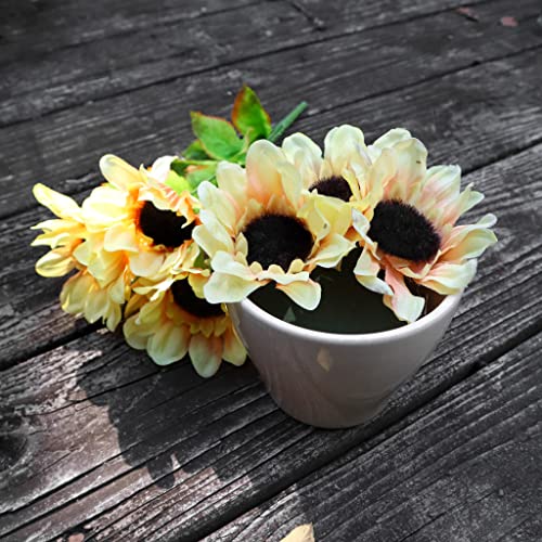 FLOFARE Pack of 6 Round Floral Foam Blocks (6" Diameter x 1.5" Height), Dry & Wet Green Foam for Flower Arrangements, Florist Supplies